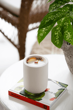 Load image into Gallery viewer, peach candle, wood wick, gift ideas, concrete candles, house warming gift, luxury candles, pretty candles, white candle, home decor, vegan candles, coconut wax candle, wood wick candle, candles
